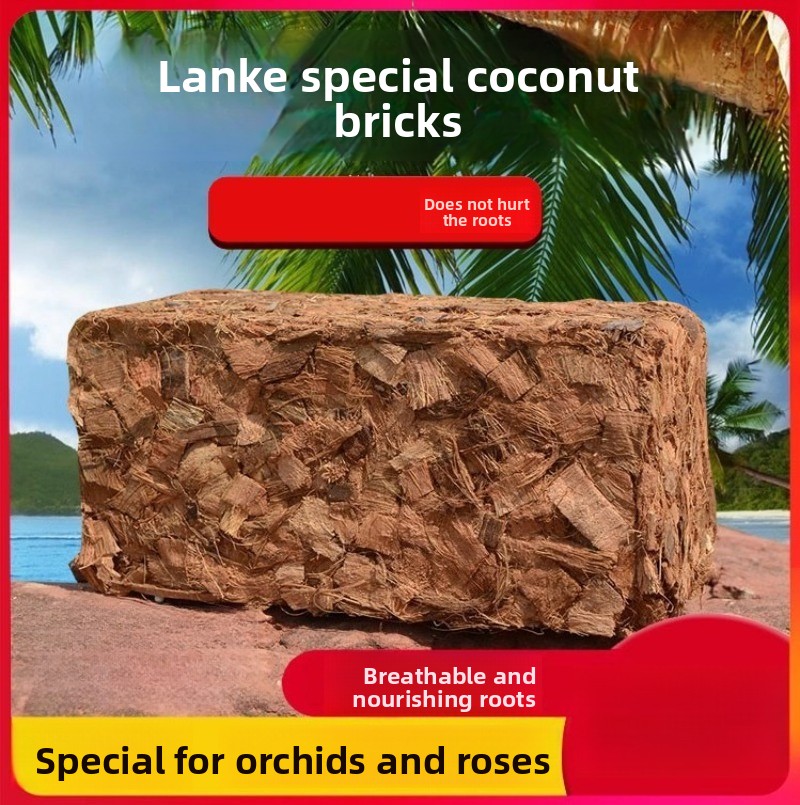 Kokosfaser-Ziegel mit Organisc – Substrate Coconut Fiber Bewertung und Preis